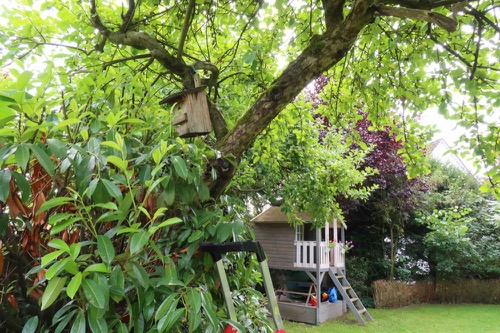 Vogelkasten mit neuer Anflugrichtung