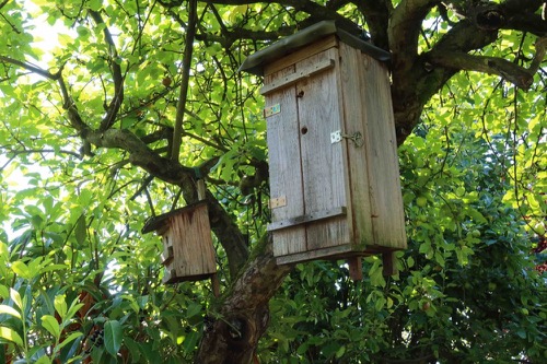 Hornissenkasten im Baum